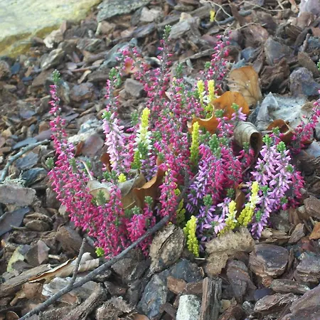 Fild - Appartamento *